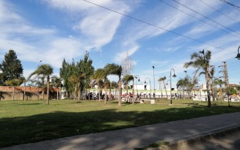 Infraestructura verde: una oportunidad para atender el cambio climático en barrios informales