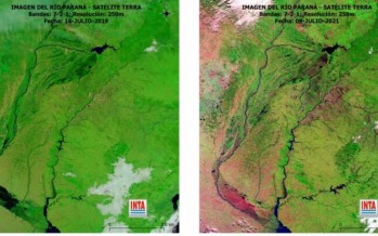 Cómo impactará la bajante del río Paraná en el agro y en el ambiente