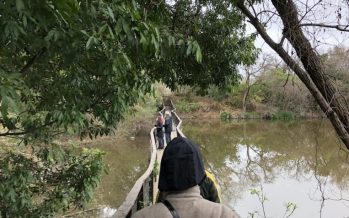 Recorrimos la Reserva Ecológica de Vicente López, una opción para conectar con el ambiente