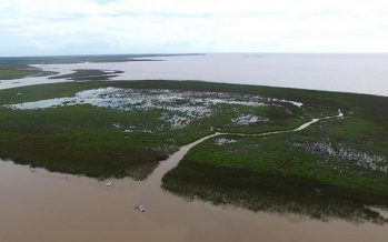 Auditoría Ambiental: el 93% de las recomendaciones para las Áreas Naturales Protegidas bonaerenses ya están en marcha