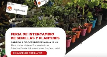 Intercambio de semillas y plantines en la feria «Mujeres Emprendedoras» en Tigre