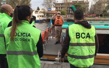 Contra la caza furtiva, Ambiente realizó controles en lanchas en el puerto de Tigre
