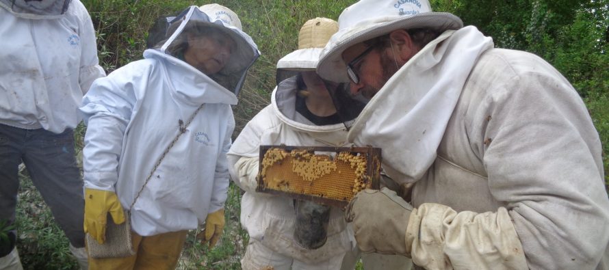Jornada apícola en el Centro de Formación Profesional 402 de Paraná Miní