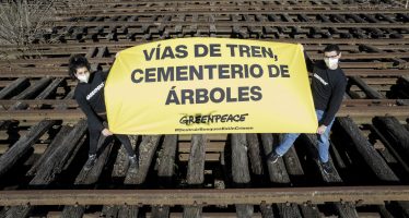 Greenpeace denuncia al Ministerio de Transporte por licitaciones de durmientes de quebracho