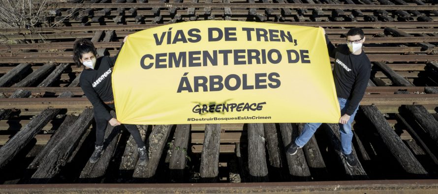 Greenpeace denuncia al Ministerio de Transporte por licitaciones de durmientes de quebracho