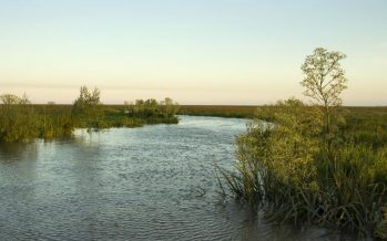 Paseo en kayak, la nueva propuesta para explorar las islas de San Isidro