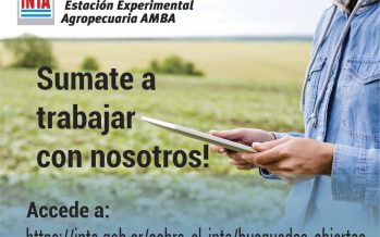 Búsqueda laboral: el INTA abre la inscripción para ocupar cargos