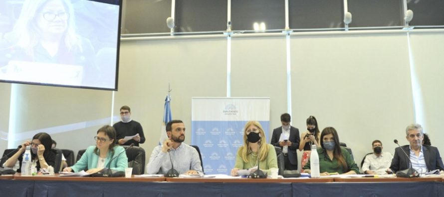 Diputados del FdT: la Ley de Envases no crea un nuevo impuesto sino una «tasa ambiental»