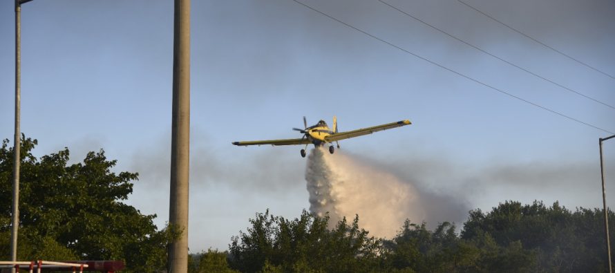 El incendio en el Parque Nacional Ciervo de los Pantanos está controlado