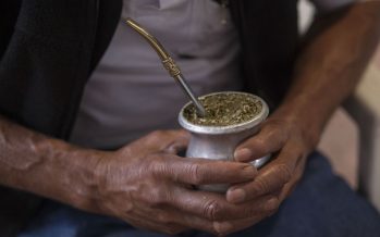 Yerba mate: identidad, hábito y nutrición