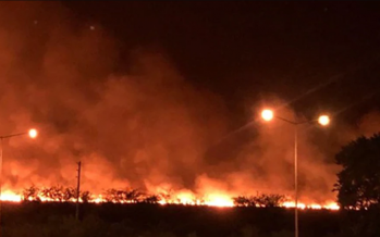 Brigadistas combaten incendio en el Parque Nacional Ciervo de los Pantanos