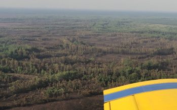 El foco de incendio en el Delta sanfernandino está controlado