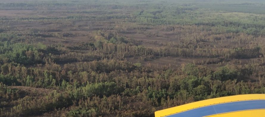 El foco de incendio en el Delta sanfernandino está controlado