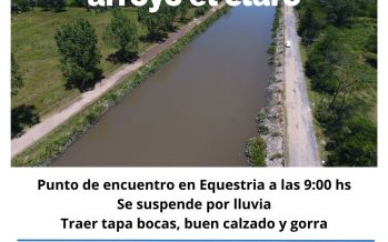 Organizaciones ambientales convocan a una jornada de limpieza en Tigre