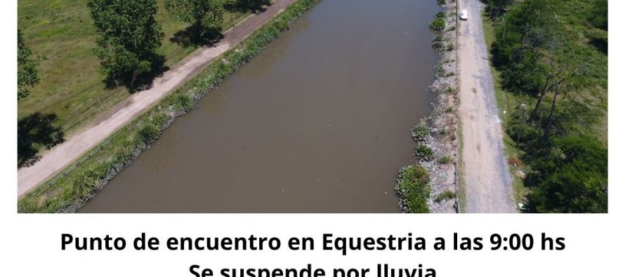 Organizaciones ambientales convocan a una jornada de limpieza en Tigre