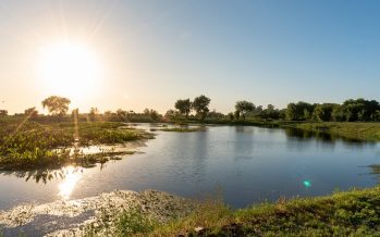 El Eco Parque de San Nicolás, la nueva propuesta natural para el turismo de escapadas