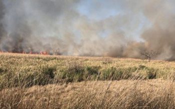 Incendio en el Delta de San Fernando
