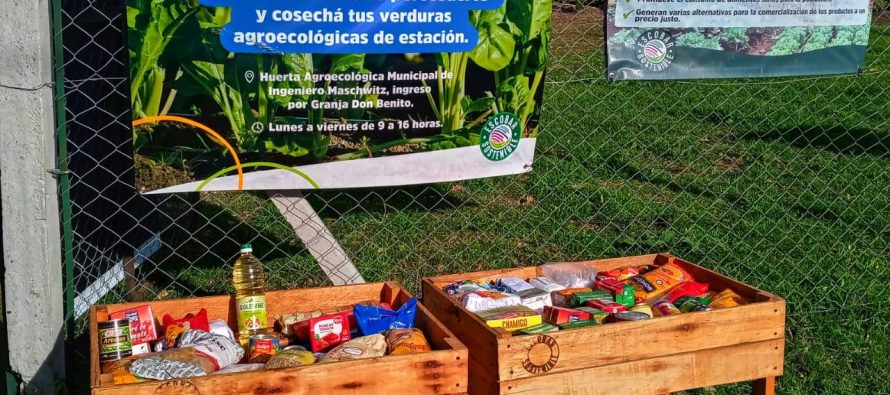 Escobar: Los vecinos que donen alimentos pueden acceder a la cosecha de la huerta municipal