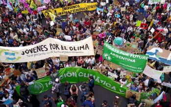 Día de la Educación Ambiental: la herramienta para un futuro sostenible
