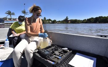 Cianobacterias: realizaron monitoreos en el Delta para evaluar el estado del agua