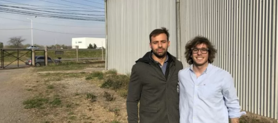 Usan moscas para transformar desechos en alimento balanceado