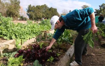 «Los Huerteros»: una propuesta de inclusión laboral en San Isidro