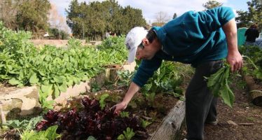«Los Huerteros»: una propuesta de inclusión laboral en San Isidro