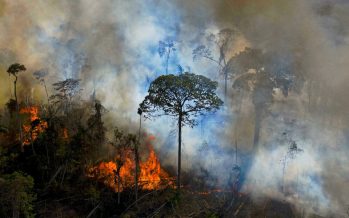 El cambio climático no es ficción ni exageración, debemos actuar ahora o nunca