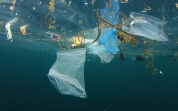 Alertan que los residuos plásticos ya contaminaron «todos los rincones de los océanos»