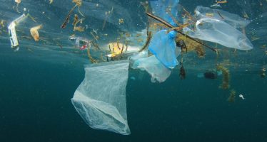 Alertan que los residuos plásticos ya contaminaron «todos los rincones de los océanos»