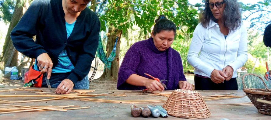 Taller de mimbre en la Comunidad Moqoit del Delta de Tigre