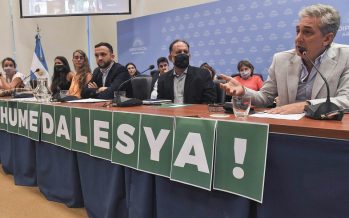 Ley de Humedales: plenario de comisiones en Diputados y marcha contra las quemas intencionales