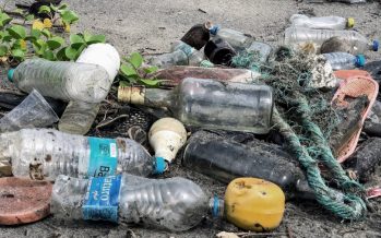 Solo el 10% de la basura plástica producida en un año es reciclada