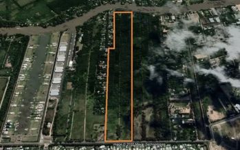 Pista de Remo en Tigre: exigen archivar la ordenanza por incumplimiento de normativa ambiental