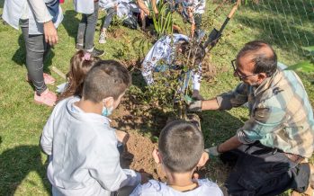 Día de la Tierra: San Fernando plantó árboles nativos junto a una escuela de Islas