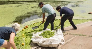 ComiLu monitorea la proliferación de vegetación acuática en el Río Luján