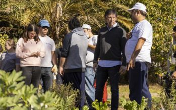 San Isidro: jóvenes y adultos con discapacidad producen conservas vegetales en Los Huerteros
