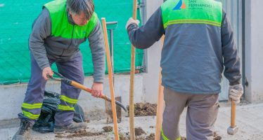 San Fernando continúa plantando árboles en distintos barrios