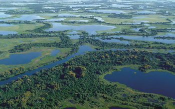 El Comité de Cuenca del Río Luján participó de un taller sobre humedales del delta bonaerense
