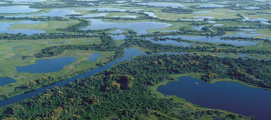 El Comité de Cuenca del Río Luján participó de un taller sobre humedales del delta bonaerense