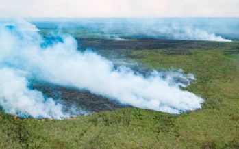 A 50 años de la primera conferencia ambiental de la ONU, expertos piden «pasar a la acción»
