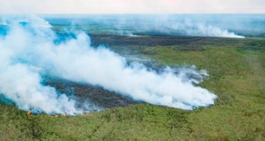 A 50 años de la primera conferencia ambiental de la ONU, expertos piden «pasar a la acción»