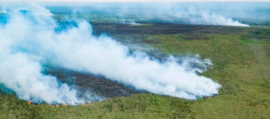 A 50 años de la primera conferencia ambiental de la ONU, expertos piden «pasar a la acción»