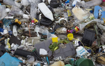 Día Mundial de los Océanos: por qué la contaminación marítima pone en peligro a la salud humana