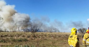 Incendio en el Parque Nacional Ciervo de los Pantanos