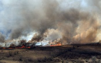 Continúan varios focos de incendios en el Delta del Paraná