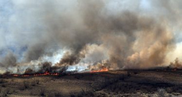 Continúan varios focos de incendios en el Delta del Paraná