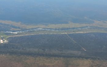 Fueron extinguidos los focos en las islas del Río Luján