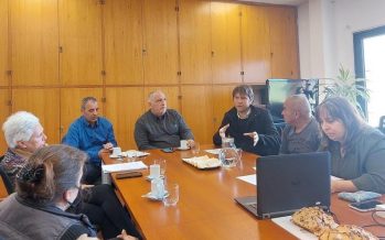 Tigre: se presentó un proyecto para terminar con la tracción a sangre