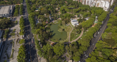 Resaltan la importancia de los árboles para reducir las olas de calor en las ciudades